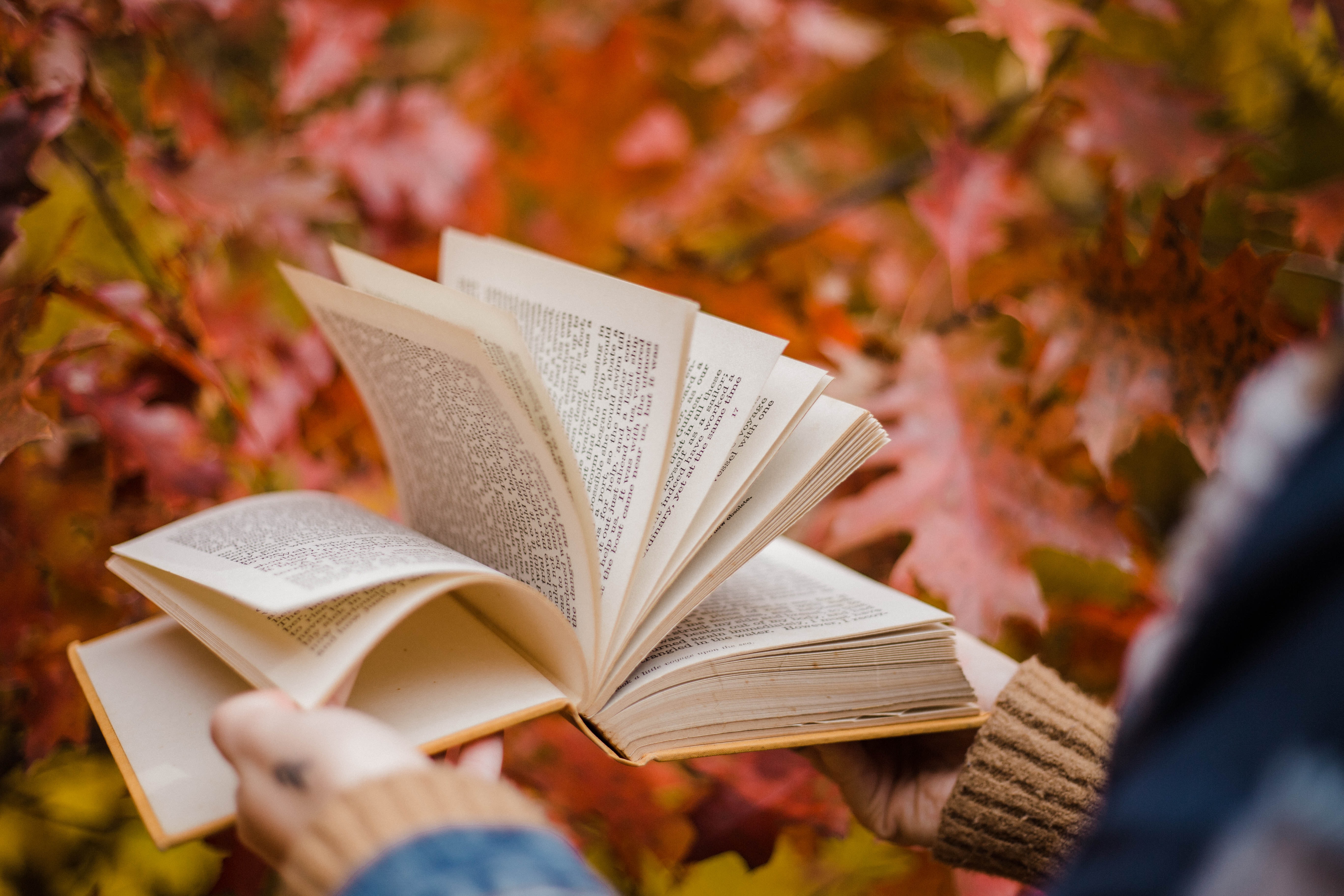 Nature Books; A Literary Remedy in a Time of Self-Isolation?